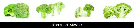 Collection of fresh head of broccoli isolated on a white background Stock Photo