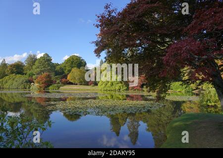Trees reflecting in water, beautiful sunny autumn landscape Stock Photo