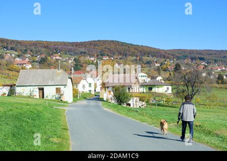 Rechnitz: vineyard Weingebirge, house, Südburgenland, Burgenland, Austria Stock Photo