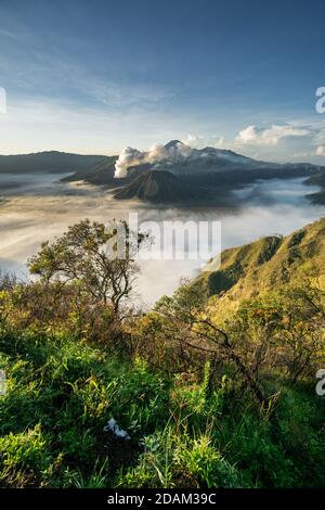 bromo mountain in malang indonesia Stock Photo