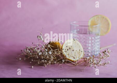 Alcohol drink (gin and tonic cocktail) garnished with lemon fruit and flower isolated on pink background. Iced cocktail drink with lemon and herbs. Stock Photo