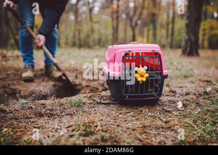 Spooky scene at the pet cemetery. The grave of lost animal friends. Companionship, farewell. A man brings a dead pet in a carrier to the forest and Stock Photo