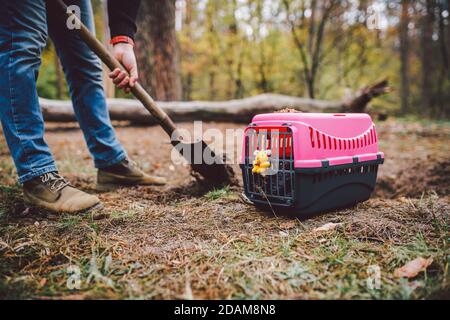 Spooky scene at the pet cemetery. The grave of lost animal friends. Companionship, farewell. A man brings a dead pet in a carrier to the forest and Stock Photo