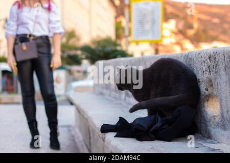 Grey street cat making herself comfortable on a jacket that woman has left on the stone wall. Cats as usual finding pieces of clothes to sleep on Stock Photo
