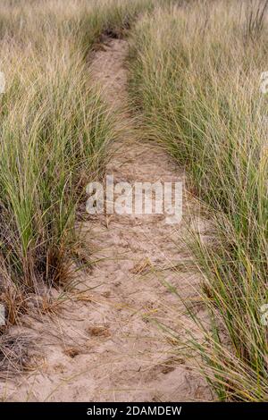 Path Through Grass On Sand Dune to Lake Michigan Stock Photo