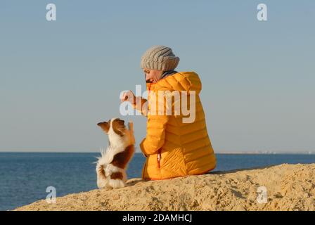animal dog trainer in yellow jacket feeding her little dog during obedience training on sea shore on autumn sunset Stock Photo