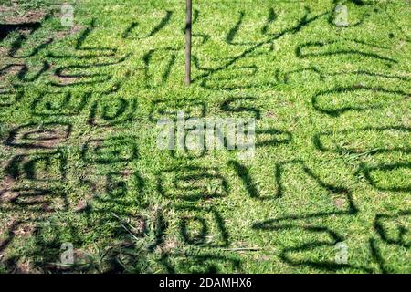 Shadows from military camouflage netting onto grass Stock Photo