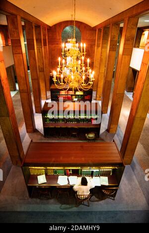 A college student studies in an ornate university  library. Stock Photo