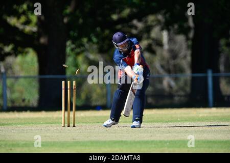 14th November 2020. Benalla Bushrangers v Beechworth Twenty Twenty Stock Photo