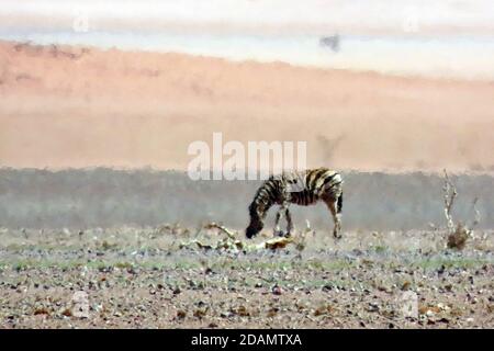 A lone Plains Zebra (Equus quagga) in a mirage in the Namib Desert at NamibRand, Hardap Region, Namibia. Stock Photo