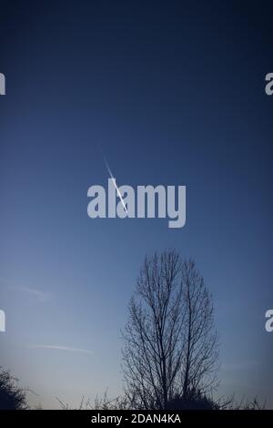 Beautiful gradient blue clear sky without clouds. Tree silhouette, airplane contrail, vertical image. Stock Photo