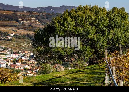 Valgatara, one of the most populated districts in the municipality of Marano di Valpolicella. Stock Photo