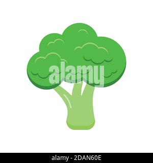 Broccoli fresh vegetable icon isolated on white background. Stock Vector
