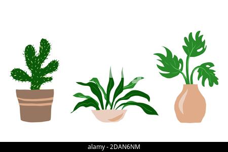 Indoor garden plants and fresh flowers isolated on white background. House growing potted houseplants set for greenhouse design. Geranium and Hydrangea, Coleus and Cactus, vector illustration Stock Vector