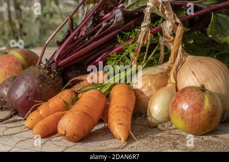 A close up of a selection of fresh organic vegetables in the sunshine Stock Photo