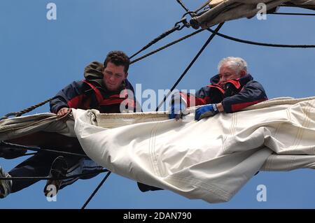 Cew aloft at work  reefing in the Lower Topsail,  on  Tall  Ship TYS The Prince William Stock Photo