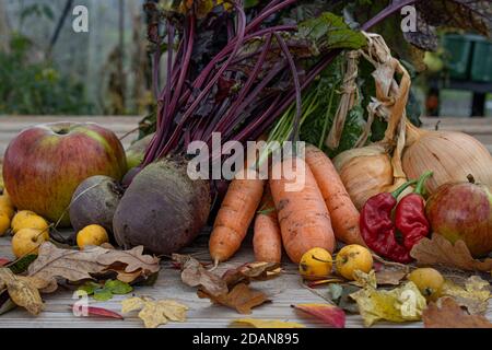 A close up of a selection of fresh organic vegetables in the autumn Stock Photo