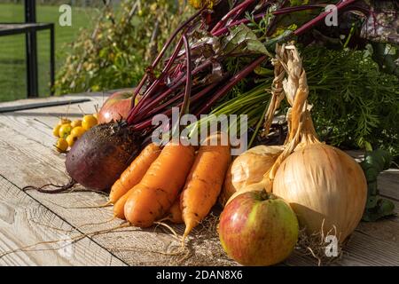 A selection of home grown produce on a garden table in the sunshine Stock Photo