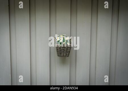 white wooden wall with basket of flowers Stock Photo