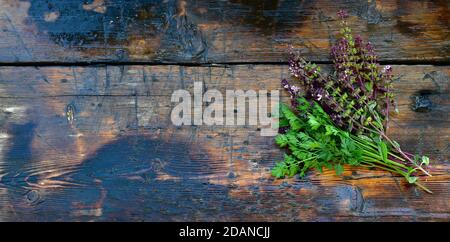 A bunch of fresh green parsley and flowering sprigs of purple basil. Right on a wooden textured wet background. Stock Photo