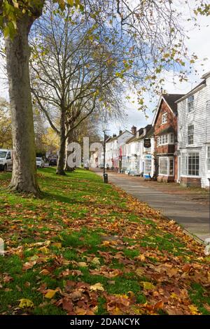 Autumn leaves on the wide pavement of Tenterden High Street, Kent, UK Stock Photo
