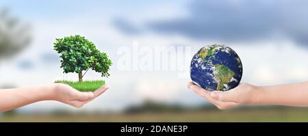 Environment day concept: Child hands holding tree and earth over blurred nature background. Elements of this image furnished by NASA Stock Photo