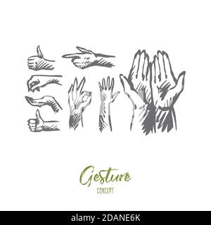 Hand, palm, human, finger, gesture concept. Hand drawn isolated vector. Stock Vector