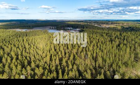 Aerial view of European taiga forest at ice age esker, growing mainly pine trees ( pinus sylvestris ) and distant view of tree nursery , Finland Stock Photo