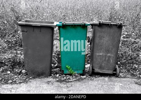 Row of three refuse bins in black and white, with one isolated green bin. Stock Photo