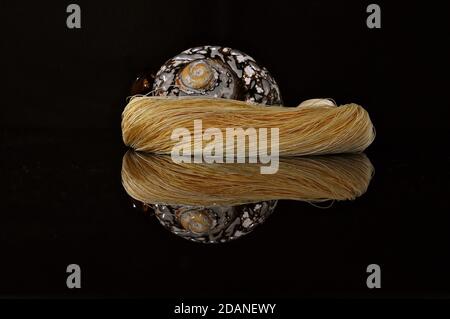 Reflective image of a nautilus sea shell coiled in a skein of golden threads. Stock Photo