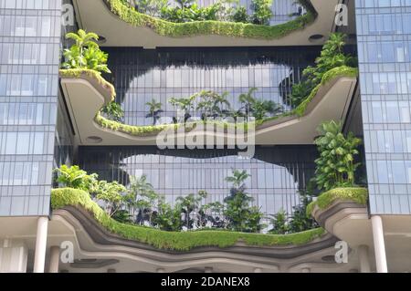 Upward perspective view of a contemporary modern mutli storey glass building with garden terraces filled with tropical palms and plants. Stock Photo