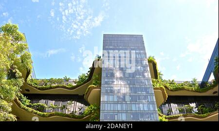Upward perspective view of a contemporary modern mutli storey glass building with garden terraces filled with tropical palms and plants. Stock Photo