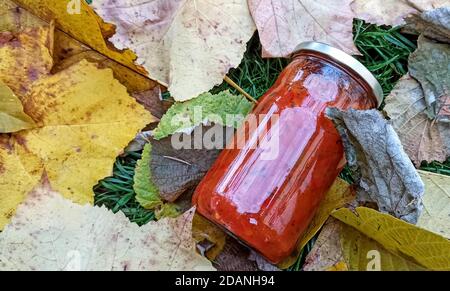 Preserved vegetables on autumn leaves background. Stock Photo