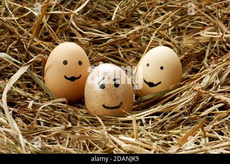 Closeup shot of eggs with painted faces in a hay pile Stock Photo
