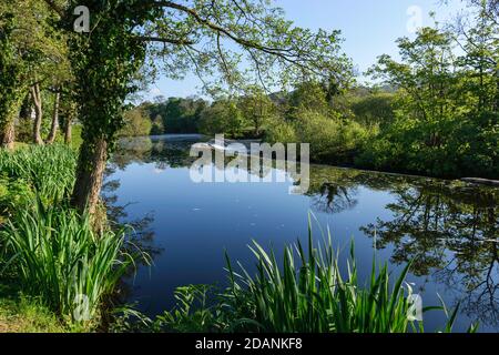 River Wharfe at Addingham High Mill Weir on the Dales Way Stock Photo