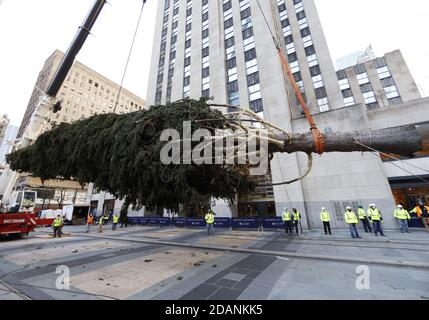 New York, United States. 14th Nov, 2020. The Rockefeller Center Christmas Tree is lifted into place by crane when it arrives at Rockefeller Plaza in New York City on Saturday, November 14, 2020. This year the 75-foot tall Norway Spruce is from Oneonta, NY, Photo by John Angelillo/UPI Credit: UPI/Alamy Live News Stock Photo