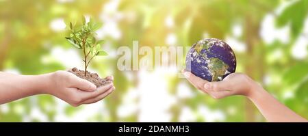 Environment day concept: Child hands holding tree and earth over blurred nature background. Elements of this image furnished by NASA Stock Photo