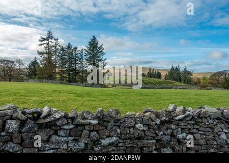 UK landscape: Cumbrian views of farmland in Ravenstonedale towards The Howgills mountains, Cumbria Stock Photo