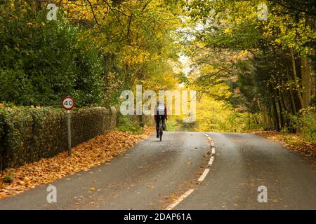 Cyclist from behind on Country lane, Ranmore Common Road at Denbies Hillside, Surrey Hills, UK, Autumn 2020 Stock Photo