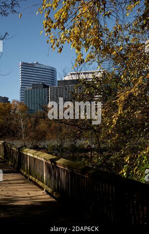 Looking back from the pedestrian bridge over to Theodore, Teddy Roosevelt Island park at downtown Rosslyn. In Rosslyn, Arlington, Virginia. Stock Photo