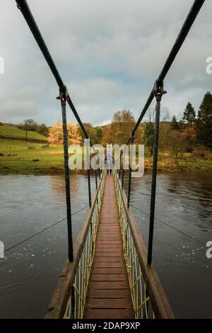 Walker crosses the Hebden suspension bridge on the Dales Way over the River Wharfe in autumn, Yorkshire Dales National Park, UK landscape Stock Photo