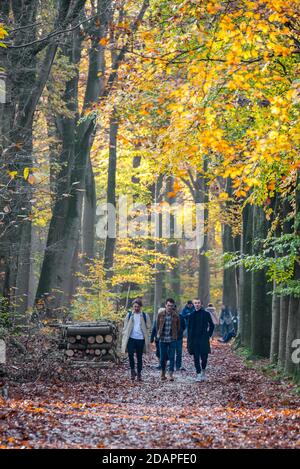 Walkers / families walking along forest path in woodland during busy weekend in autumn Stock Photo