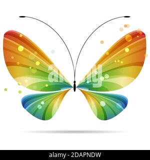 beautiful colorful multicolored striped butterfly on white background, black antennae, four wings, two pairs of wings Stock Vector