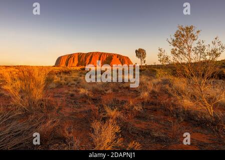 Uluru, Australia - Changing colour at sunset of Uluru, the famous gigantic monolith rock in the Australian desert. Image taken from the Stock Photo