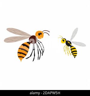 Hornet and wasp, differences. Vector illustration isolate. Stock Vector