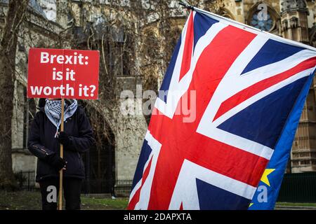 GREAT BRITAIN / England / London / Anti-Brexit activists protest outside the outside the Houses of Parliament on the 29th January 2019 in London, Unit