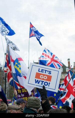 GREAT BRITAIN / England / London / Pro-Brexit activist holding placard 'Lets go WTO 'protesting outside the Houses of Parliament on the 29th January 2