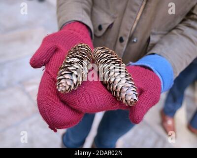 New York, New York, USA. 14th Nov, 2020. 75 foot tall Norway Spruce from Oneonta NY arrives by 115 foot long trailer and is lifted into place by crane Sat November 14 2020 in Rockefeller Center. Worker holds pine cones from the tree. Credit: Milo Hess/ZUMA Wire/Alamy Live News Stock Photo