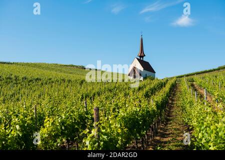 Eichert Chapel in the vineyards, Jechtingen, Kaiserstuhl, Baden-Wuerttemberg, Germany Stock Photo