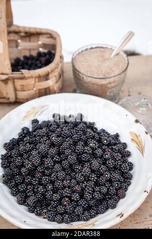 Wild blackberries, brown sugar, picked in the Sierra de Gredos, La Lastra del Cano, Spain Stock Photo